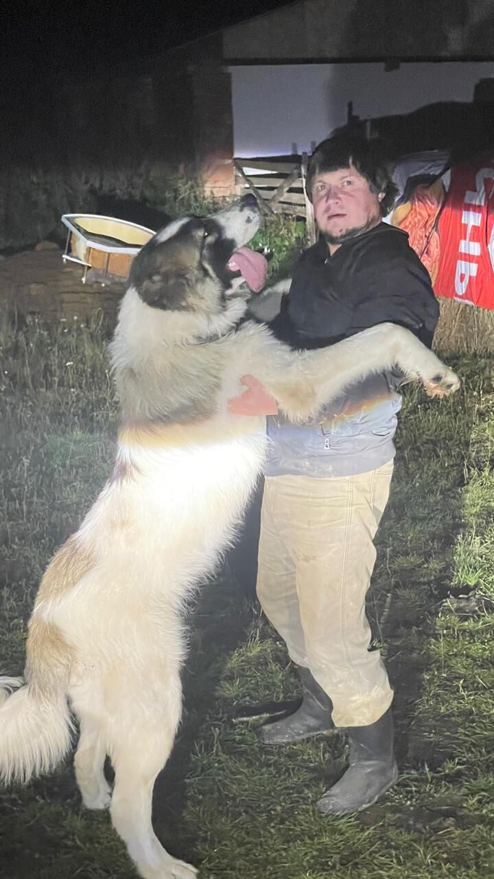 ���������� �������, ���� ������� ��������, 35 ���, ������������ ��� ������, ����� � ���������, c�������� ���������, ���������