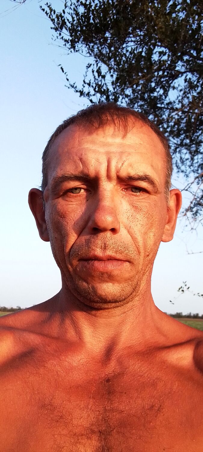  29035503  , 42 ,    
