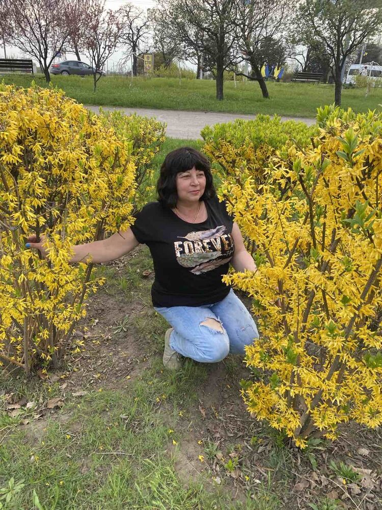 ���������� ���������, ���� ������� �����, 49 ���, ������������ ��� ���������