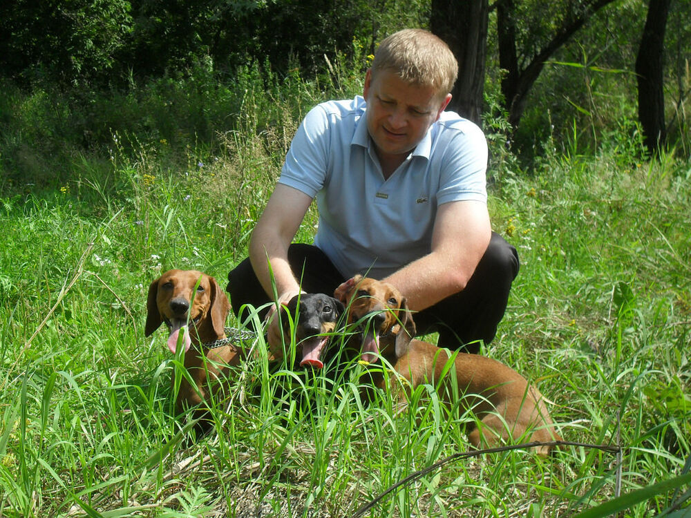 ���������� ������, ���� ������� ����, 50 ���, ������������ ��� ������