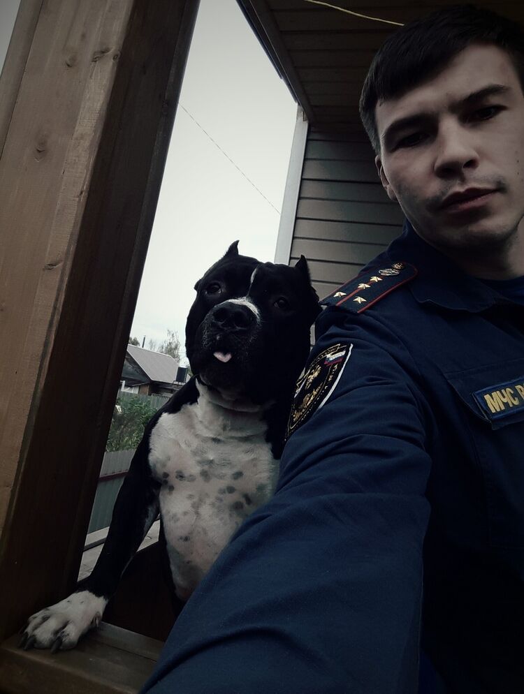 ���������� ��������, ���� ������� Alexs, 37 ���, ������������ ��� ������, ����� � ���������, c�������� ���������