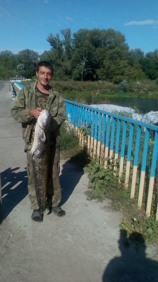 ���� 8122813 ������� ������, 41 ���, ���� ���������� � �������