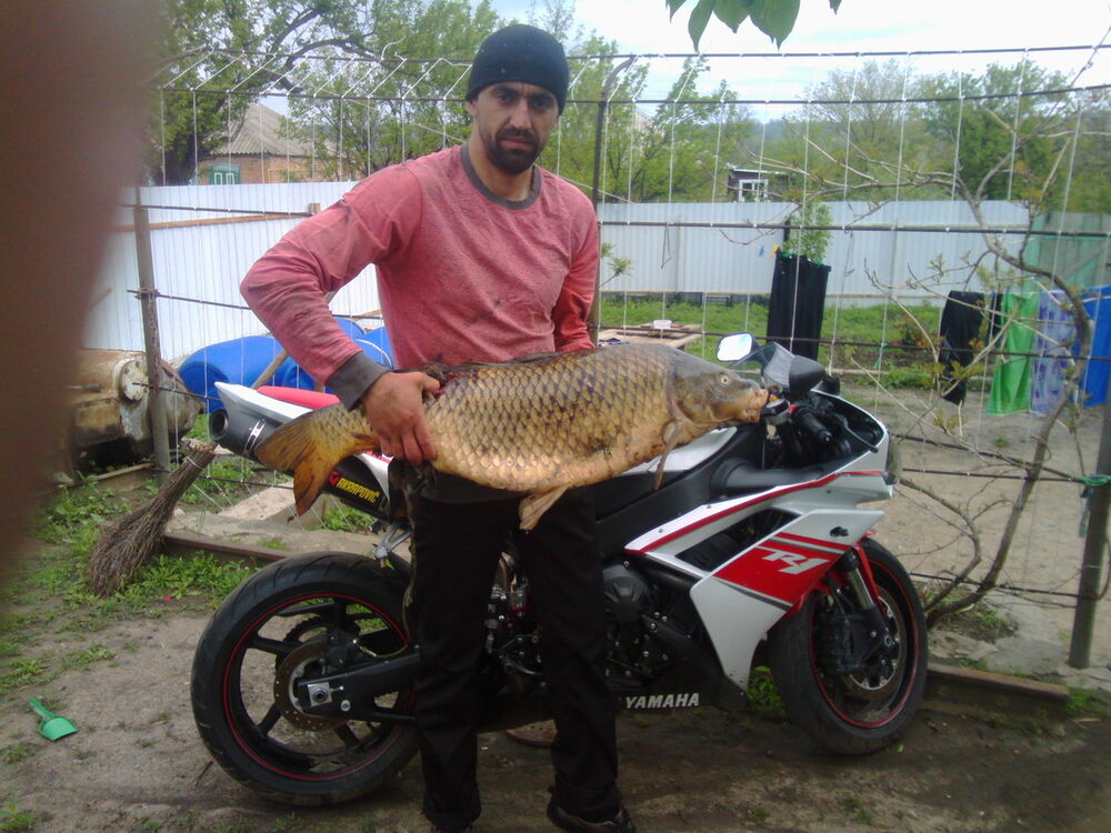 ���� 7404593 ������� �������, 40 ���, ���� ���������� � ��������-����������