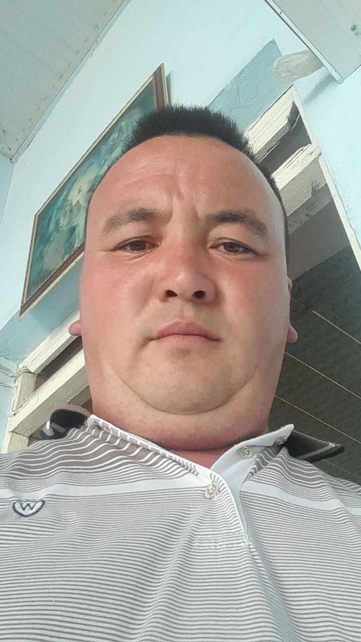 ���� 24202653 ������� �����, 33 ����, ���� ���������� � ��������