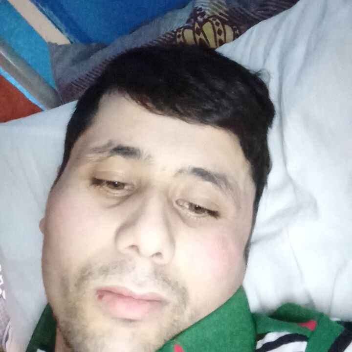 33436623  , 33 ,    