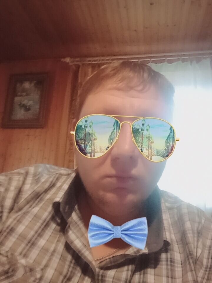  29503133  , 38 ,    