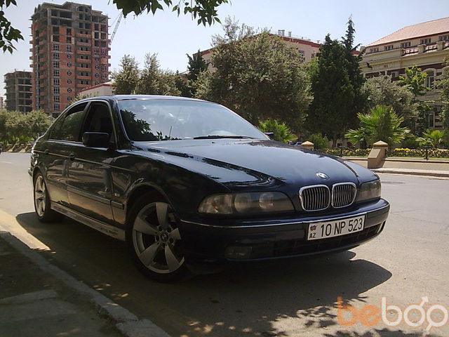 ���������� ����, ���� ������� Elsen, 36 ���, ������������ ��� ������