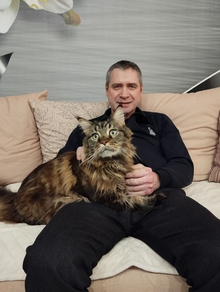 ���� 50885703 ������� �����, 57 ���, ���� ���������� � ����������