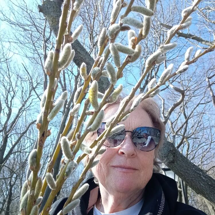 ���� 55945243 ������� ������, 64 ����, ���� ���������� � ������������