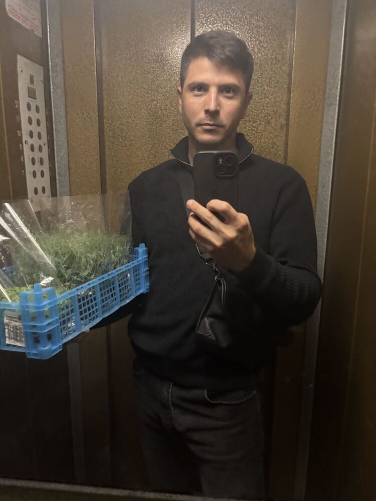 ���������� ���������, ���� ������� ������, 31 ���, ������������ ��� ����� � ���������, c�������� ���������, ���������