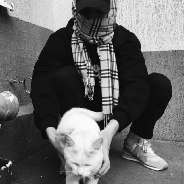 ���� 34208813 ����� ����, 25 ���, ���� ���������� � ���