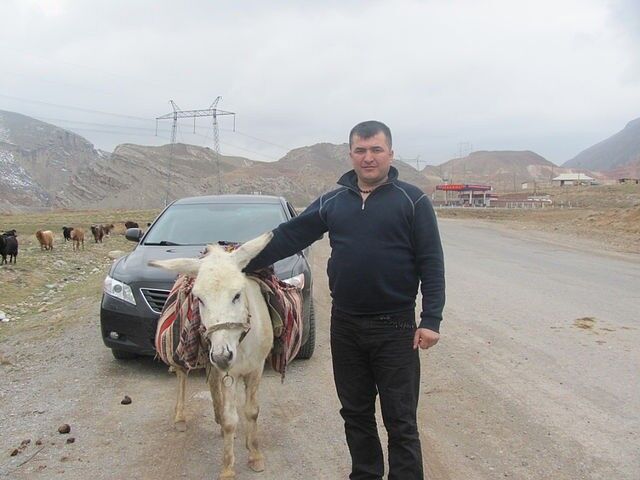 ���������� �������, ���� ������� �����, 46 ���, ������������ ��� ������, ����� � ���������, c�������� ���������