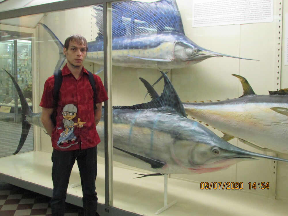 ���������� �����-���������, ���� ������� ���������, 41 ���, ������������ ��� ������, ����� � ���������