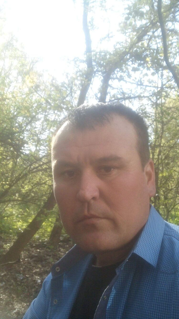  53154813   , 43 ,    
