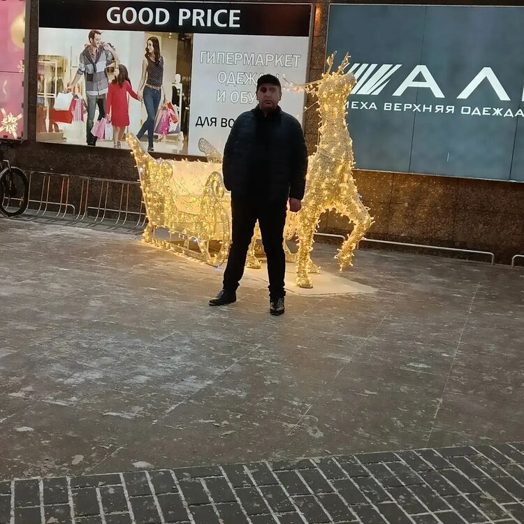  41303783  , 28 ,    -