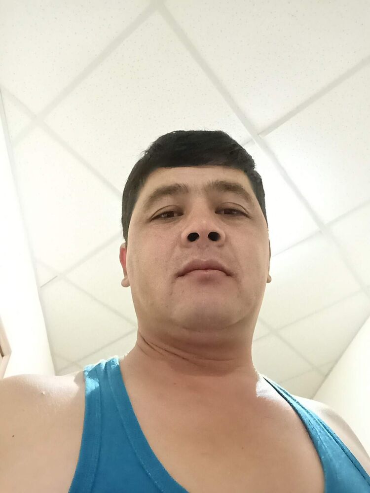  45652183  , 33 ,    