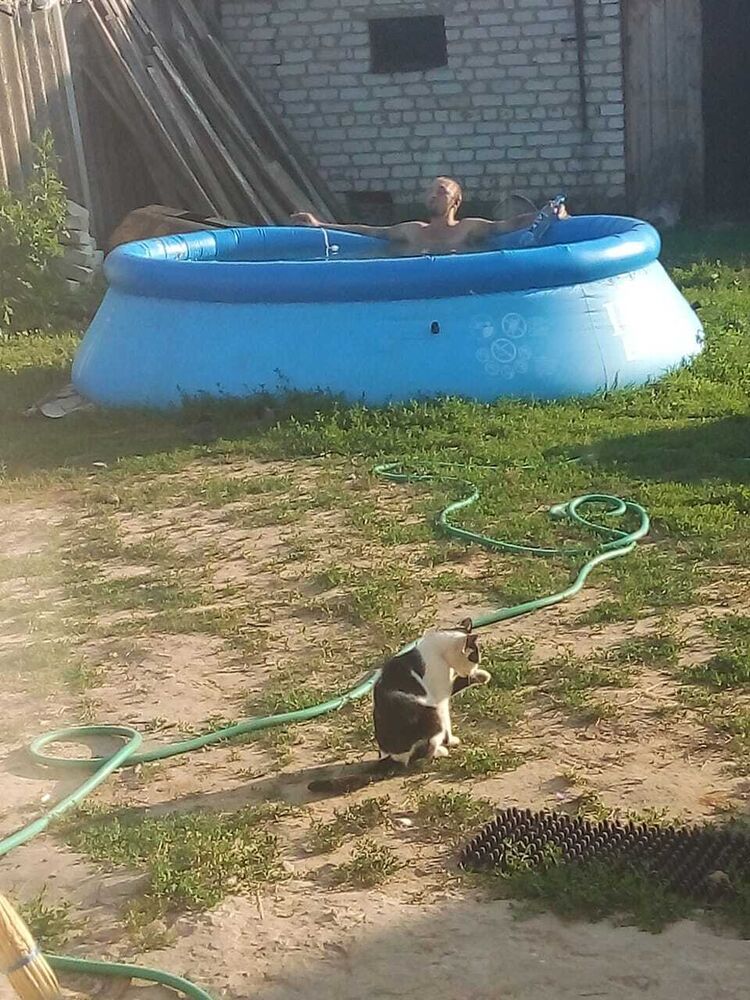  -,   , 37 ,   ,   