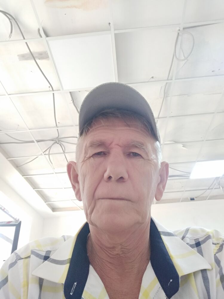  29091663  , 60 ,    