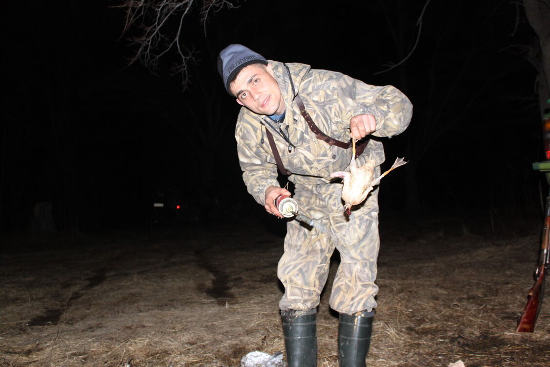 ���������� �����, ���� ������� �����, 43 ����, ������������ 