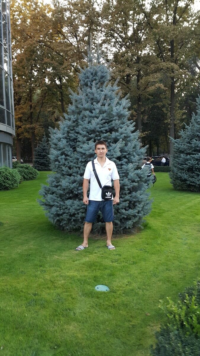 ���������� ������, ���� ������� �����, 42 ����, ������������ ��� ������, ����� � ���������, c�������� ���������