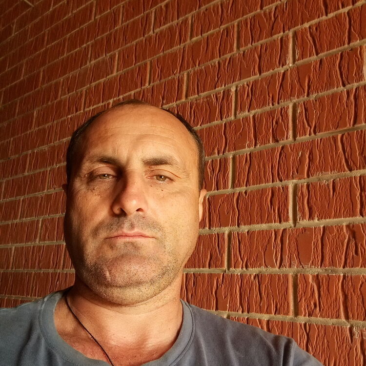  35281233  , 53 ,    --