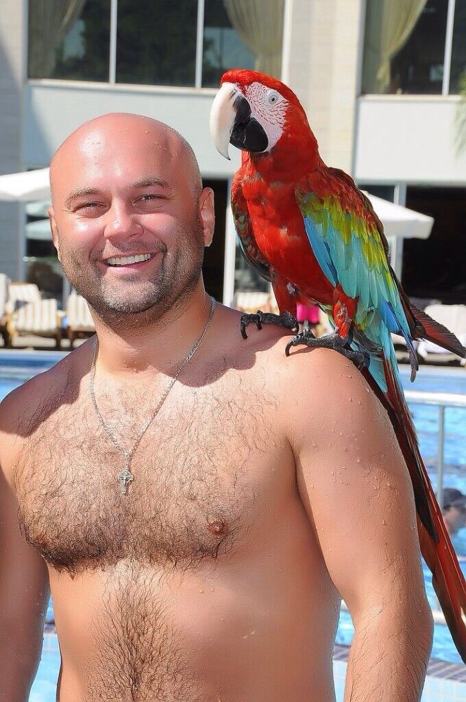 ���������� ������, ���� ������� ���������, 47 ���, ������������ ��� ������, ����� � ���������, c�������� ���������