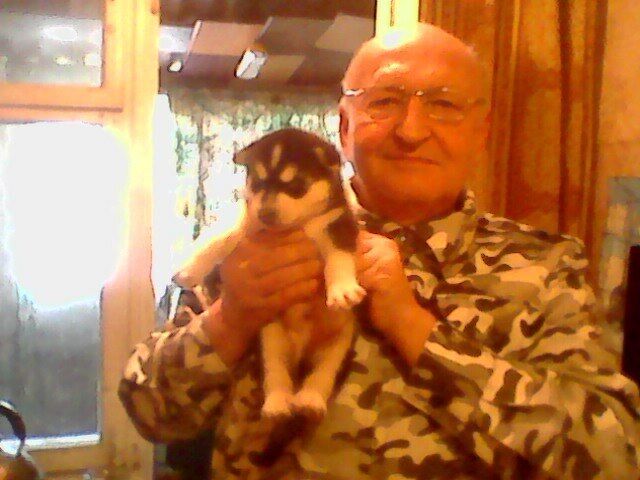 ���� 55654463 ������� �����, 66 ���, ���� ���������� � ��������