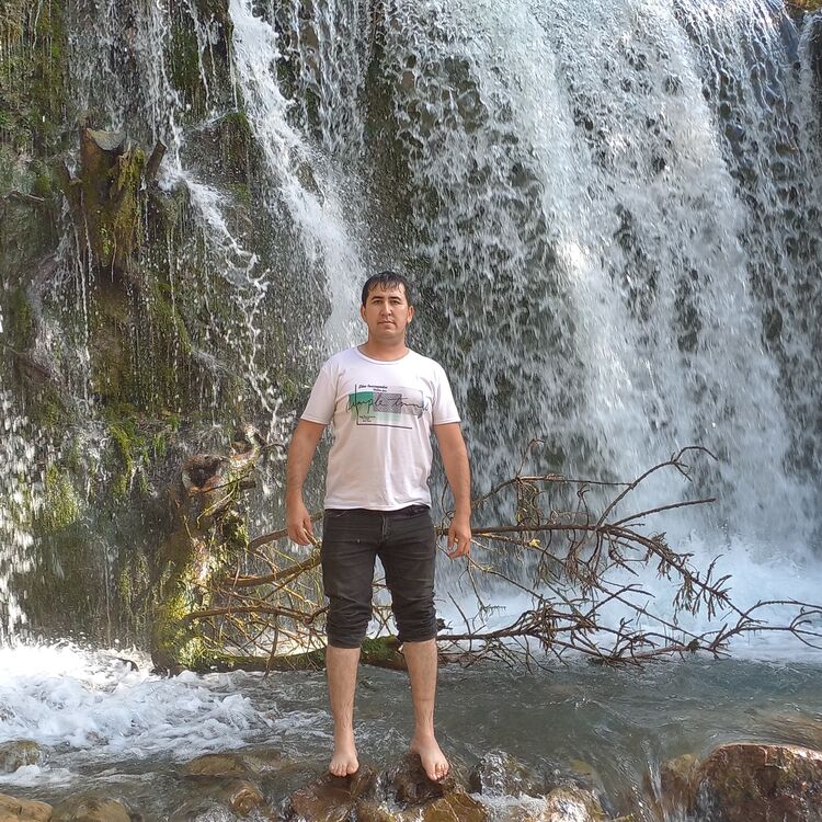 ���� 41395093 ������� ���������, 39 ���, ���� ���������� � ��������