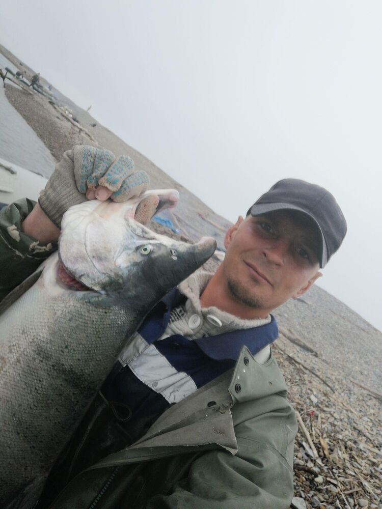  39667373  Vadim, 33 ,    
