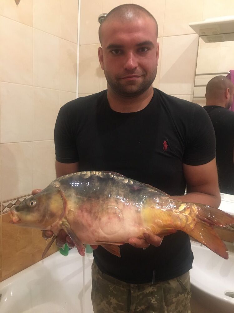   ,   Kamrad, 35 ,   ,   , 