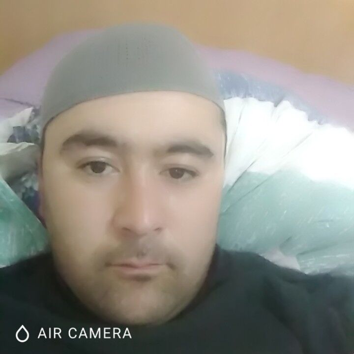 ���� 15981813 ������� ����, 38 ���, ���� ���������� � ���