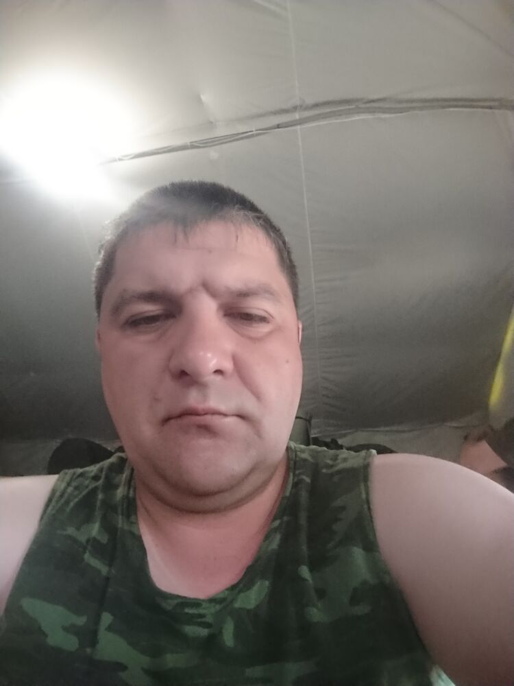  35567573  , 38 ,    