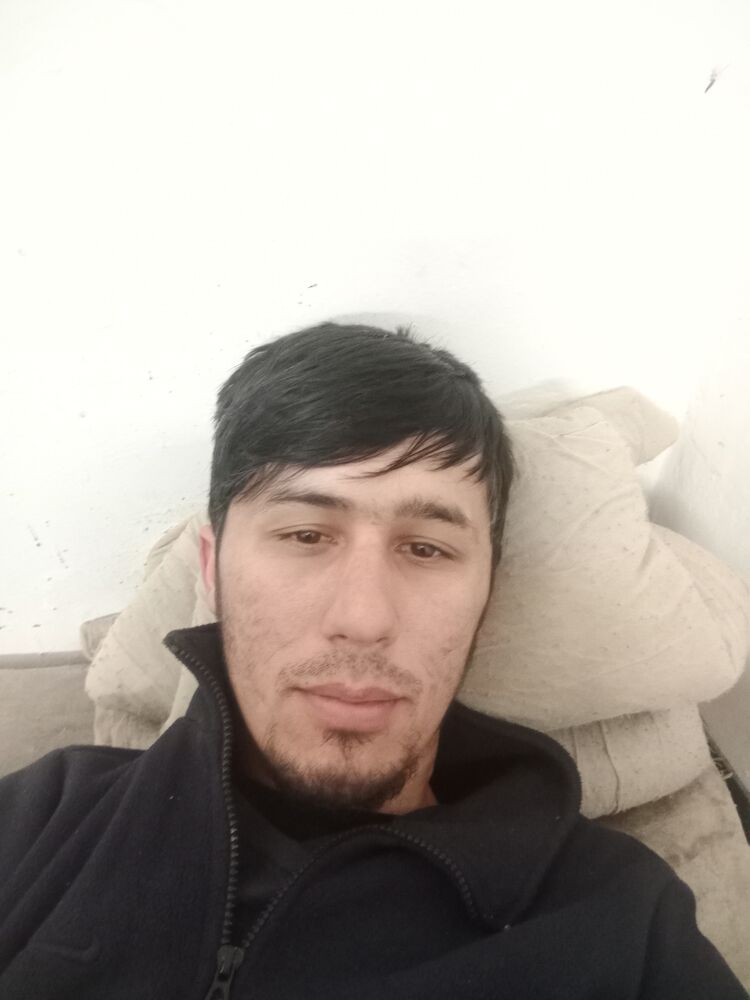  42844663  , 31 ,    