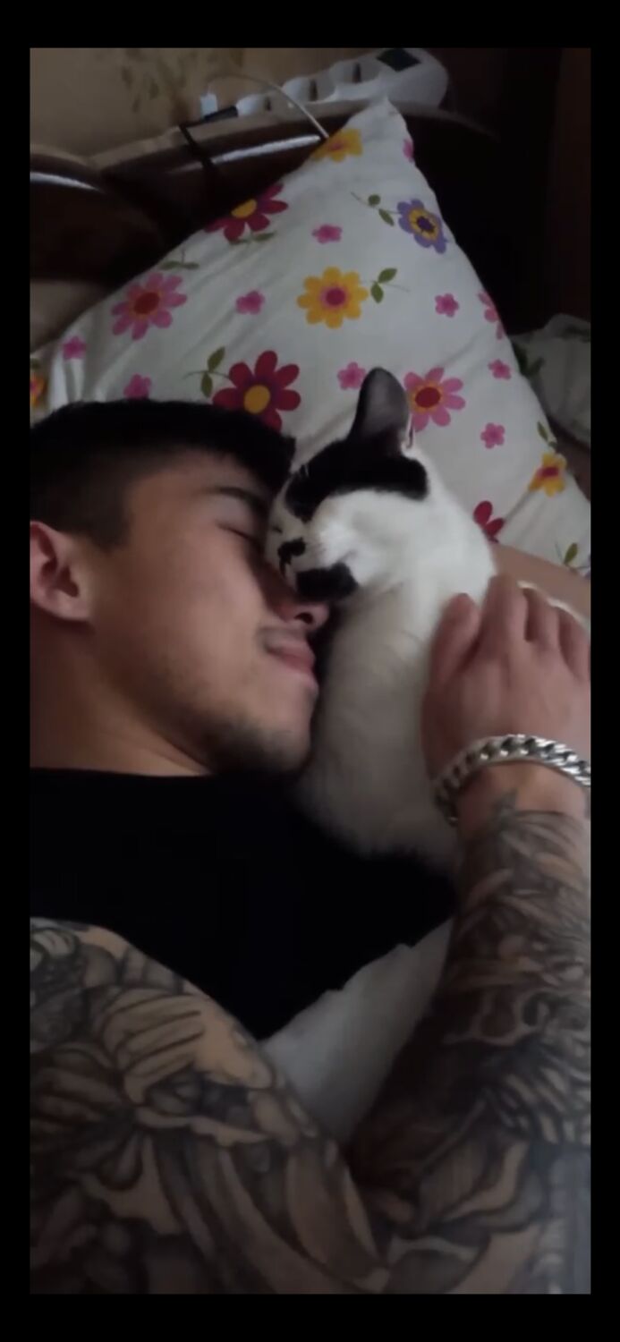 ���� 36294493 ������� �����, 31 ���, ���� ���������� � ������