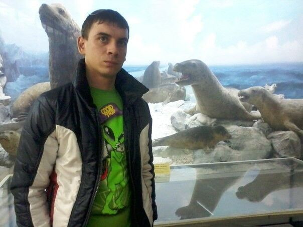 ���������� ������ ���, ���� ������� �������, 36 ���, ������������ ��� ����� � ���������, c�������� ���������, ���������