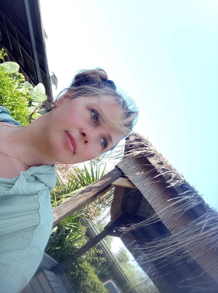  36513313  , 44 ,    -