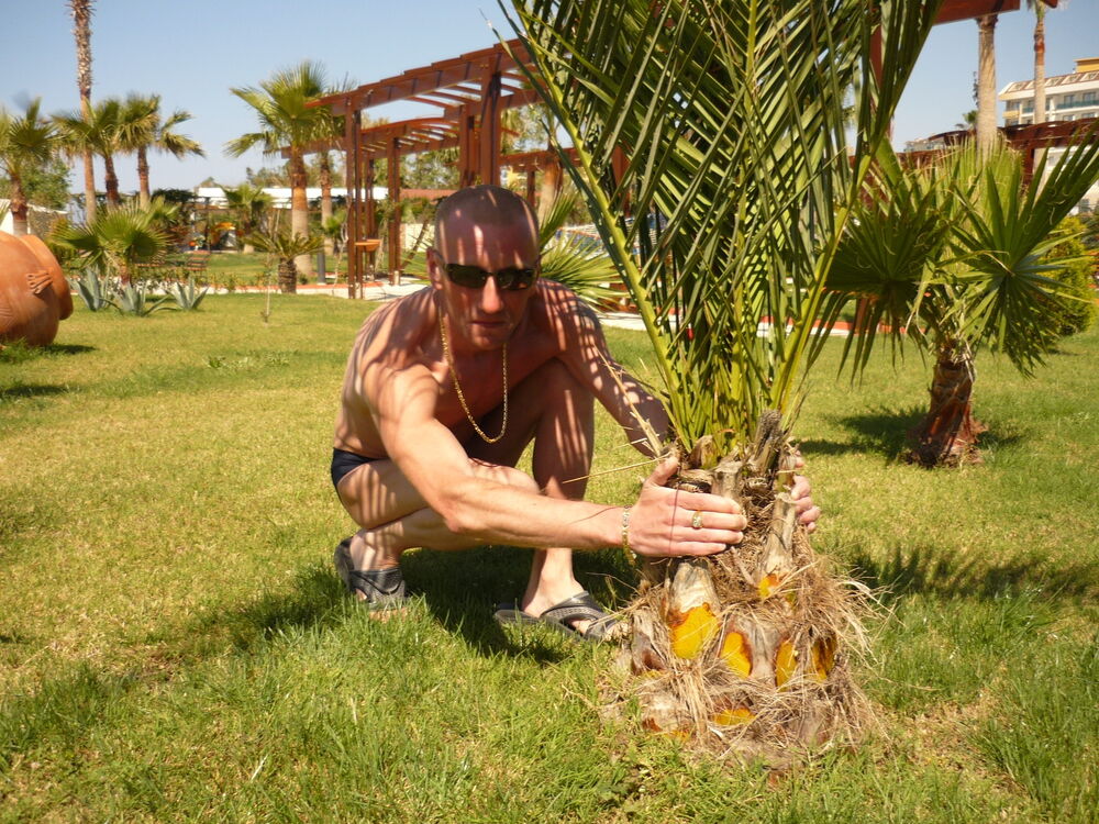 ���������� ������, ���� ������� ����, 35 ���, ������������ 