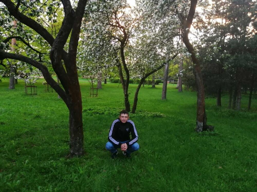  -,   , 29 ,   ,   , c 