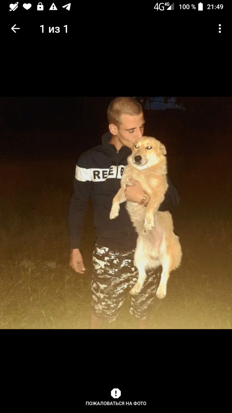 ���������� ��������, ���� ������� ��������, 29 ���, ������������ ��� ������, ����� � ���������, c�������� ���������