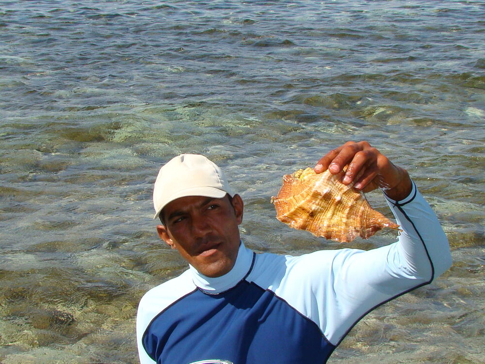 ���� 5276003 ������� ����, 48 ���, ���� ���������� � ��������