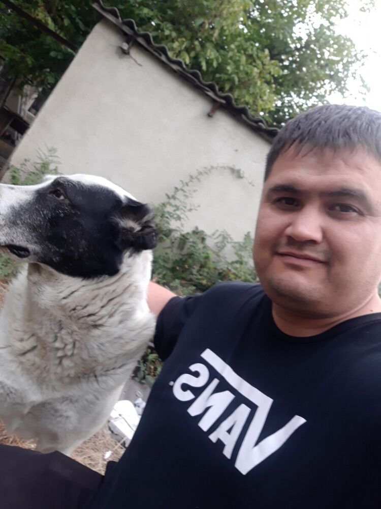 ���������� ������, ���� ������� ������, 38 ���, ������������ ��� ������