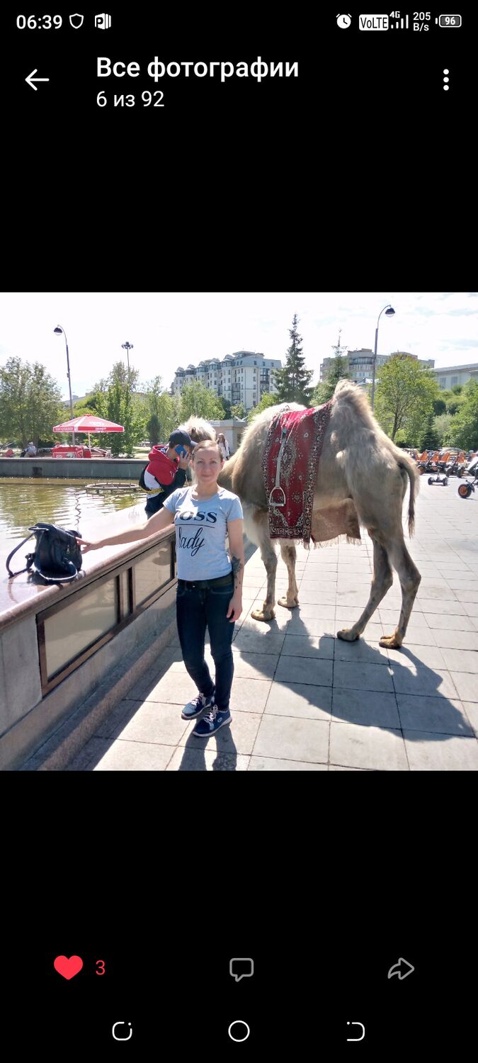 ���� 23536113 ������� �������, 43 ����, ���� ���������� � ������