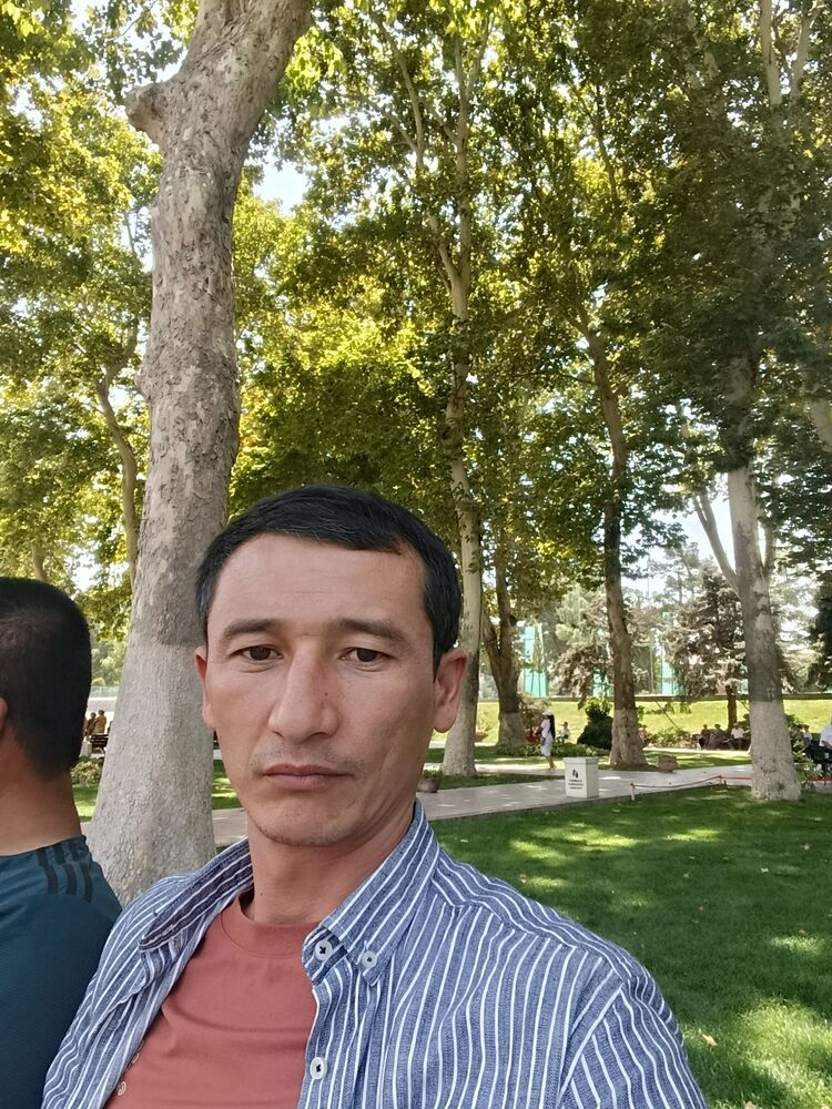 ���� 55296203 ������� Xamdam, 36 ���, ���� ���������� � �����������