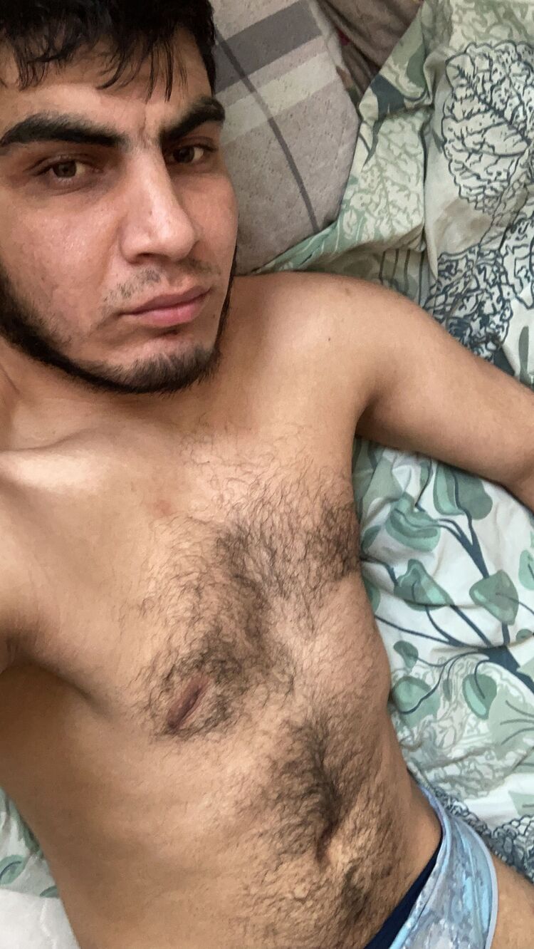  33186203  , 29 ,    