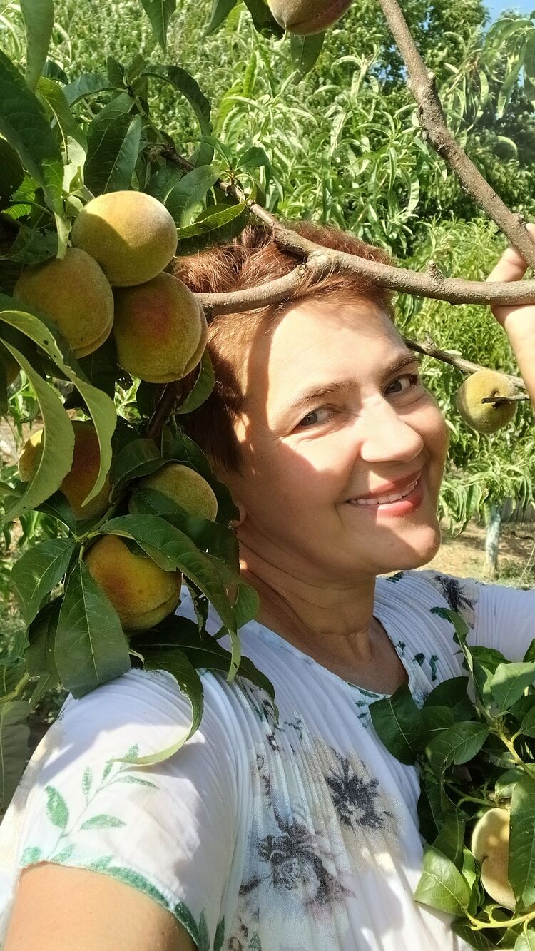 ���� 54260323 ������� ����, 58 ���, ���� ���������� � �����������