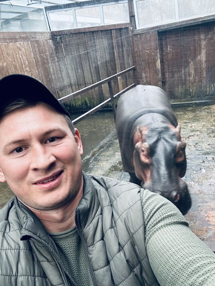 ���� 33523813 ������� �������, 34 ����, ���� ���������� � ����