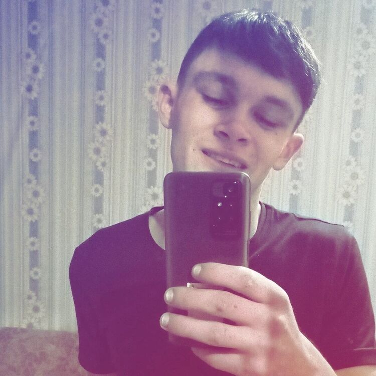  33687313  , 26 ,    