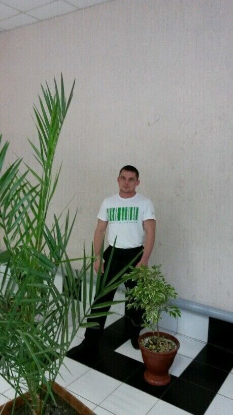 ���� 22442133 ������� ����, 33 ����, ���� ���������� � ��������