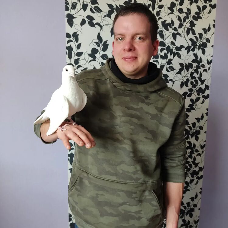 ���������� ������, ���� ������� �������, 38 ���, ������������ ��� ������, ����� � ���������, c�������� ���������