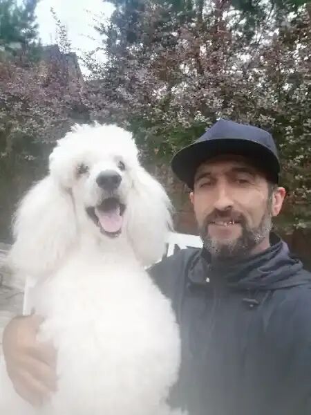 ���� 25964993 ������� �����, 45 ���, ���� ���������� � ������